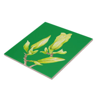 Yellow Magnolias on a Ceramic Tile (2G)