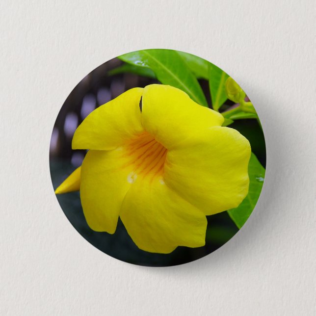 Yellow Mandevilla Button (Front)