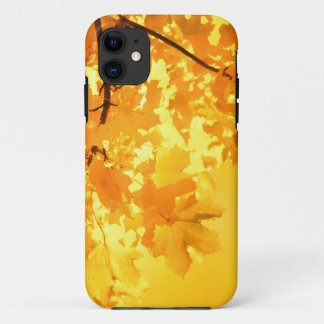Yellow Maple iPhone 5 Casemate Case