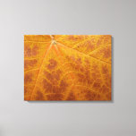 Yellow Maple Leaf Autumn Abstract Nature Canvas Print