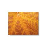 Yellow Maple Leaf Autumn Abstract Nature Canvas Print