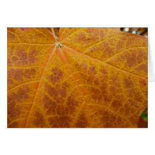 Yellow Maple Leaf Autumn Abstract Nature Cards
