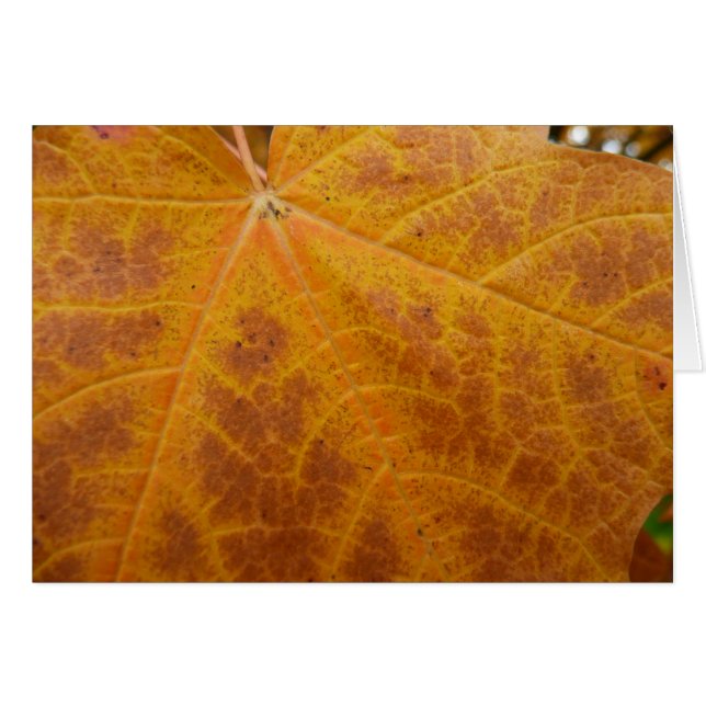 Yellow Maple Leaf Autumn Abstract Nature Cards (Front Horizontal)
