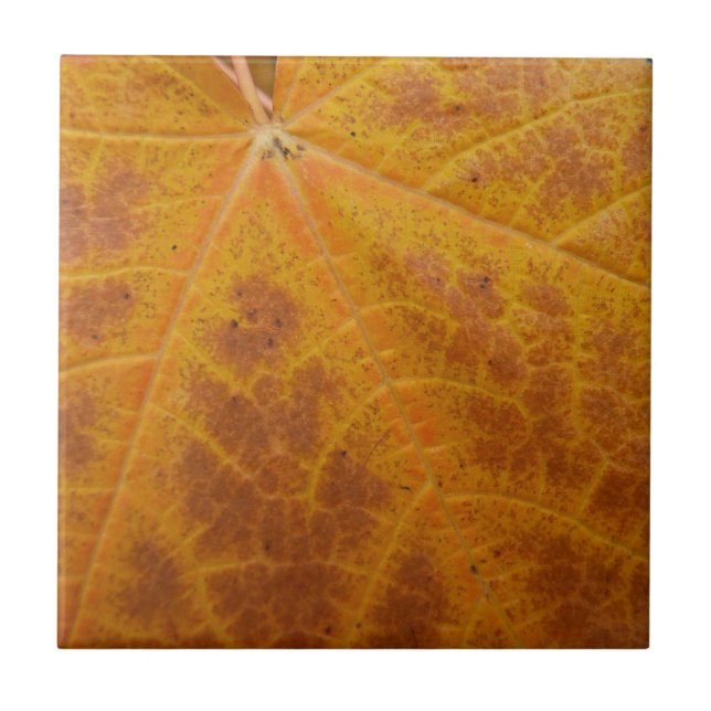 Yellow Maple Leaf Autumn Abstract Nature Ceramic Tile (Front)