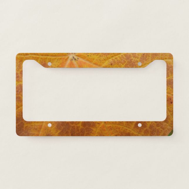 Yellow Maple Leaf Autumn Abstract Nature License Plate Frame (Front)