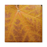 Yellow Maple Leaf Autumn Abstract Nature Magnet