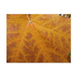 Yellow Maple Leaf Autumn Abstract Nature Postcard
