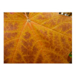 Yellow Maple Leaf Autumn Abstract Nature Poster