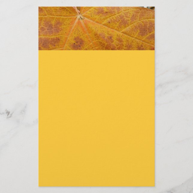 Yellow Maple Leaf Autumn Abstract Nature Stationery (Front)