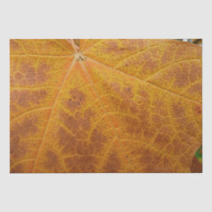 Yellow Maple Leaf Autumn Abstract Nature Tissue Paper