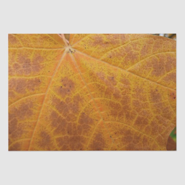 Yellow Maple Leaf Autumn Abstract Nature Tissue Paper (Front)