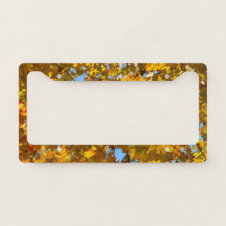 Yellow Maple Leaves and Blue Sky License Plate Frame