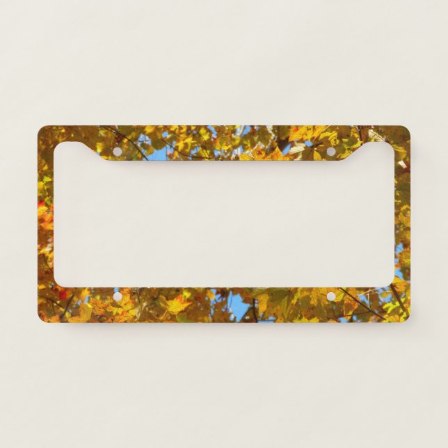 Yellow Maple Leaves and Blue Sky License Plate Frame (Front)
