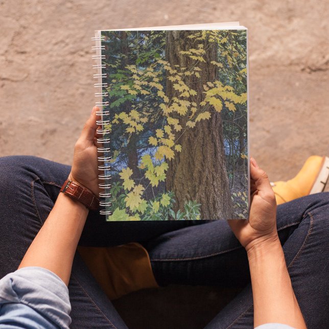 Yellow Maple Leaves and Douglas Fir Notebook (In Situ)