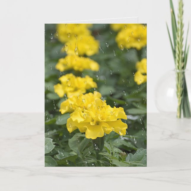 yellow marigold flower and rain card (Front)