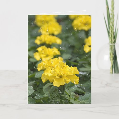 yellow marigold flower and rain card