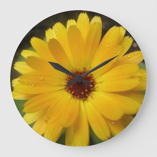 Yellow Marigold Macro Wall Clock (Front)
