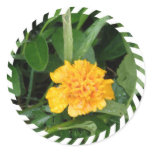 Yellow Marigold Sticker