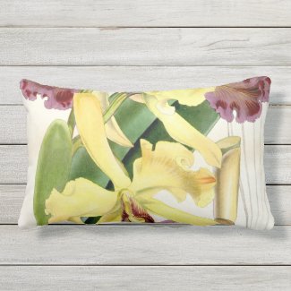 Yellow Mauve Cattleya Orchid Lumbar Outdoor Pillow