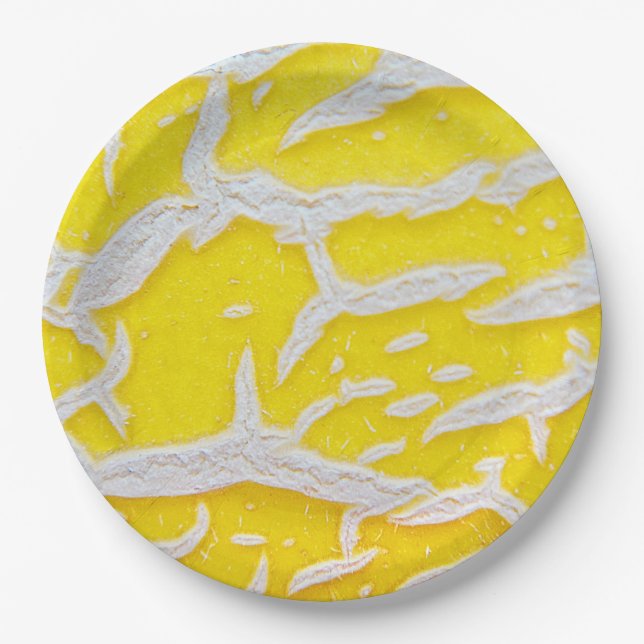 Yellow melon pattern   paper plates (Front)