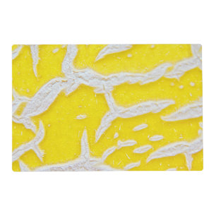 Yellow melon pattern placemat