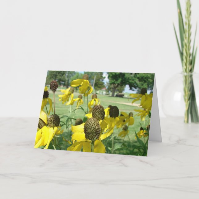 Yellow Mexican Hat Flowers Card (Front)