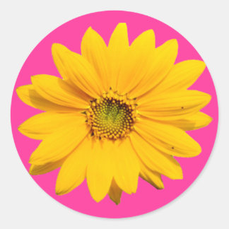 Yellow Mini Sunflower - Tiny Baby Sunflower Flower Classic Round Sticker