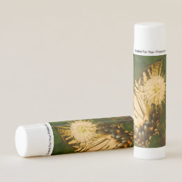Yellow Monarch Lip Balm