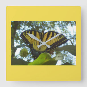 Yellow Monarch Square Wall Clock