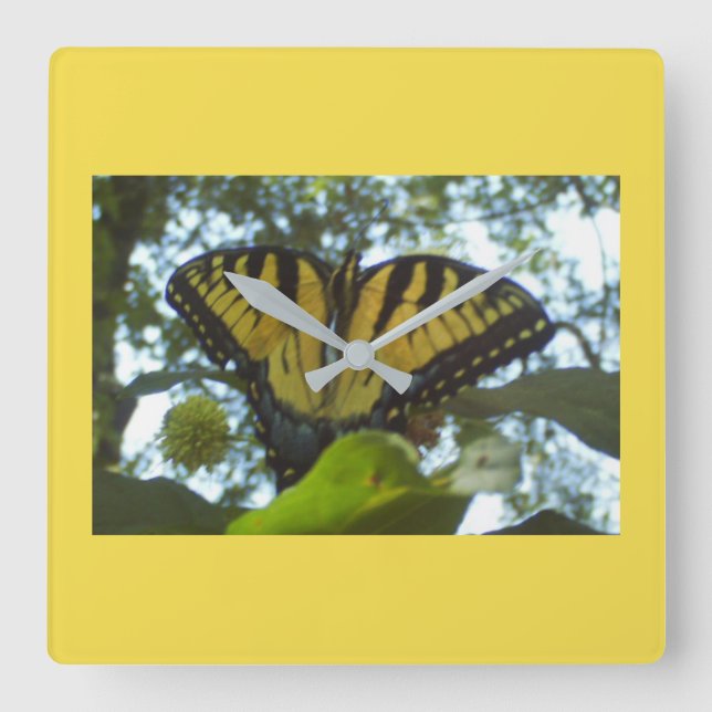 Yellow Monarch Square Wall Clock (Front)
