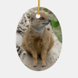yellow mongoose ceramic ornament