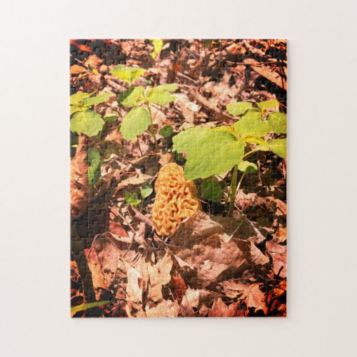 Yellow Morel Jigsaw Puzzle