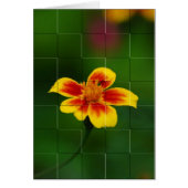 Yellow mosaic (Front)