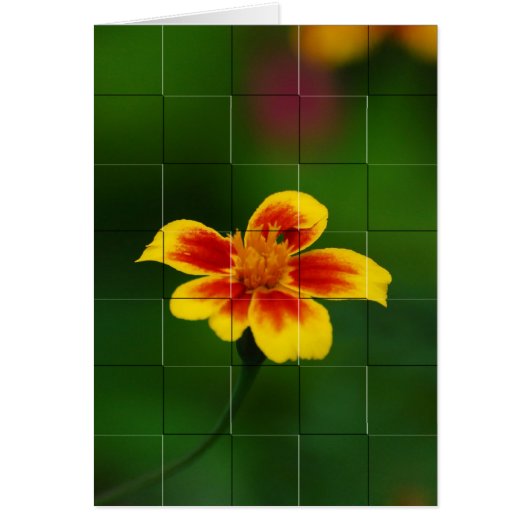 Yellow mosaic cards (Front)