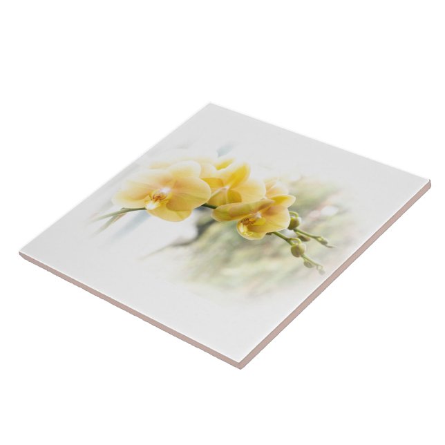 Yellow Moth Orchid in Sunshine Ceramic Tile (Side)