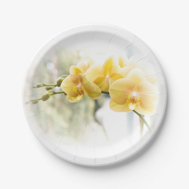 Yellow Moth Orchid in Sunshine Paper Plates (Front)