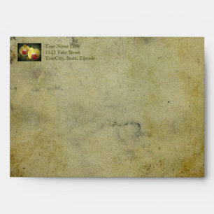 Yellow Moth Orchids - Phalaenopsis Envelope