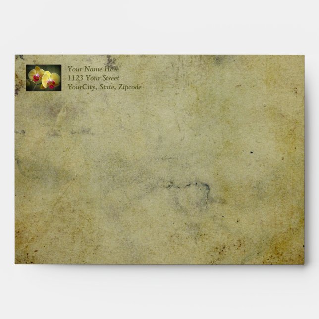Yellow Moth Orchids - Phalaenopsis Envelope (Front)