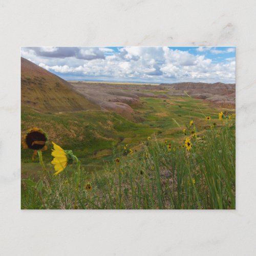 Yellow Mounds Overlook Badlands NP South Dakota Postcard