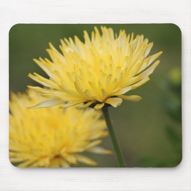 Yellow Mums Mouse Pad (Front)