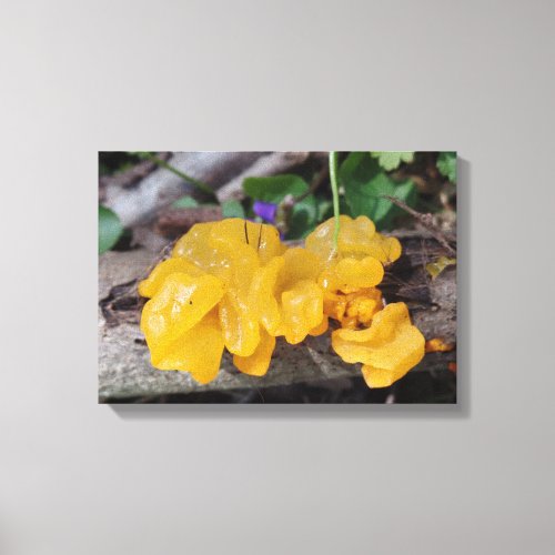 Yellow mushroom canvas print