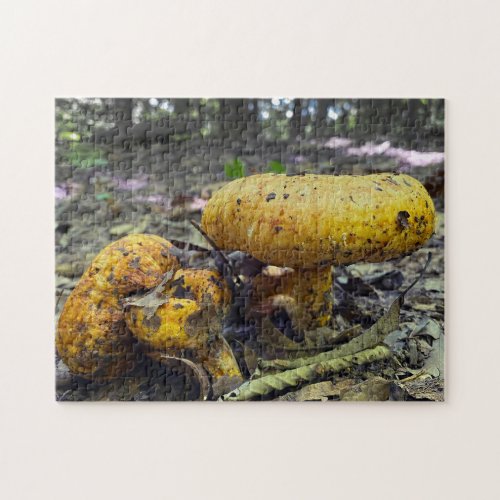 Yellow Mushroom in Forest Jigsaw Puzzle