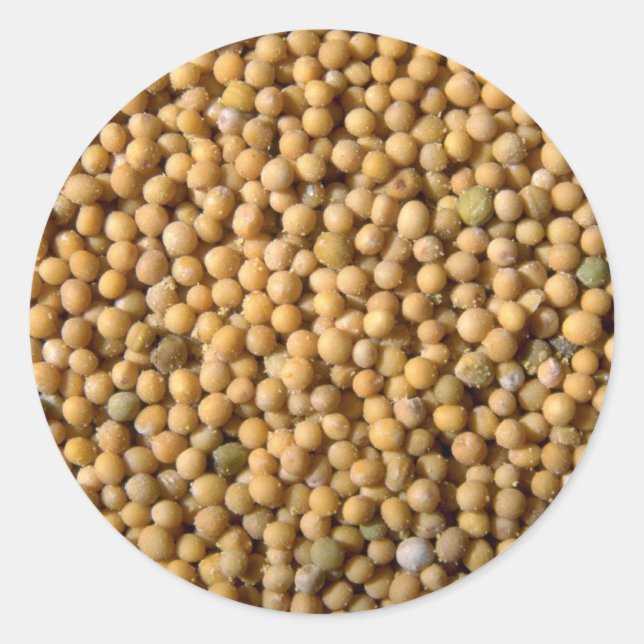 Yellow mustard seeds classic round sticker (Front)