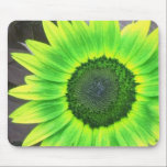 Yellow N Green Sunflower Mousepad<br><div class="desc">Bright Yellow and lime green sunflower on a mousepad</div>
