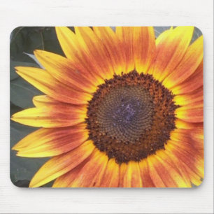 Yellow N Orange Sunflower mousepad