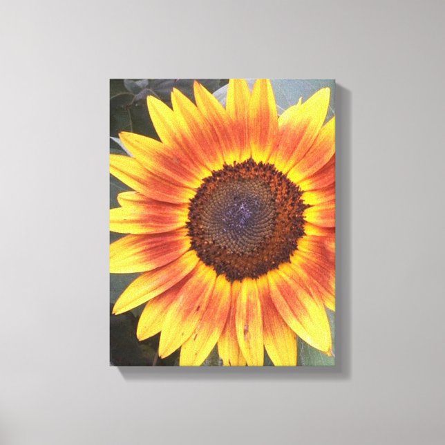Yellow N Orange Sunflower Wrapped canvas Print (Front)