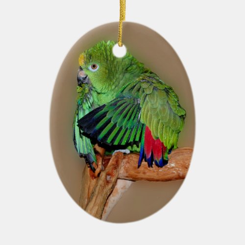 Yellow Naped Amazon Parrot Bird Ornament