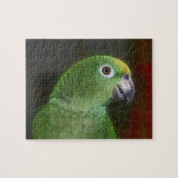 Yellow Naped Amazon Parrot Close Up  Jigsaw Puzzle by SmilinEyesTreasures at Zazzle