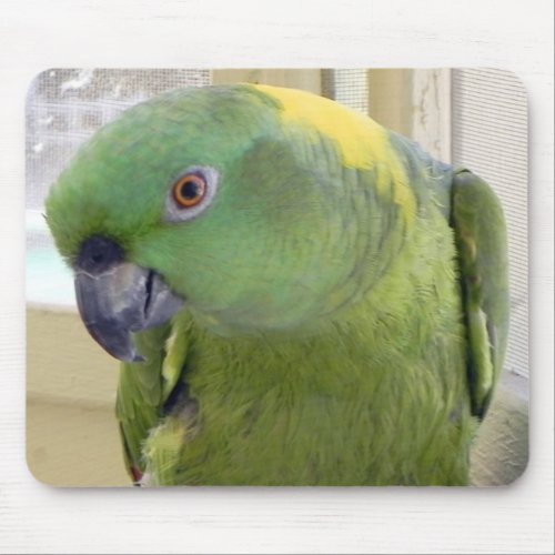 Yellow Naped Amazon PARROT Mouse Pad