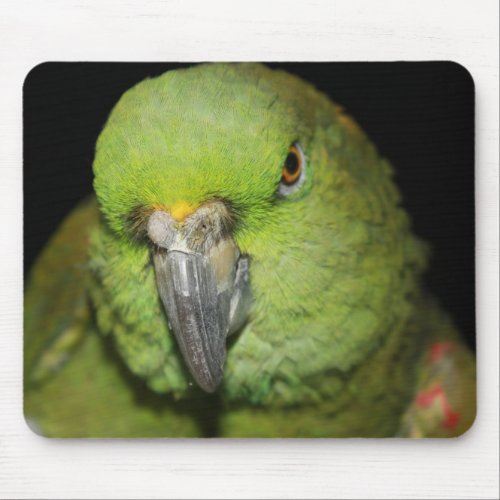 Yellow_Naped Amazon Parrot Mousepad